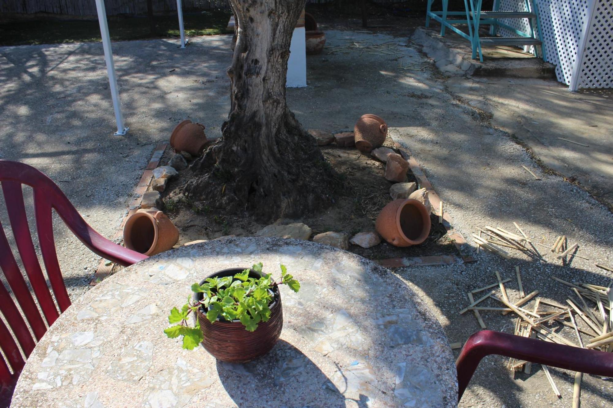 Casa De Campo En Coín エクステリア 写真